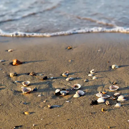 In 24392 Apartament Bibione