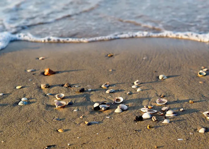 In 24392 Apartament Bibione